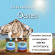 Weekaanbieding gratis oestertopping bij aankoop van 2 manden oesters